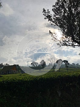 The beautiful clouds at dempo mountain photo